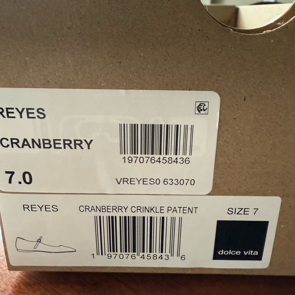 New Dolce Vita Reyes Cranberry Red Ballet Buckle Flats - Size 7 Work Costume - Picture 8 of 9